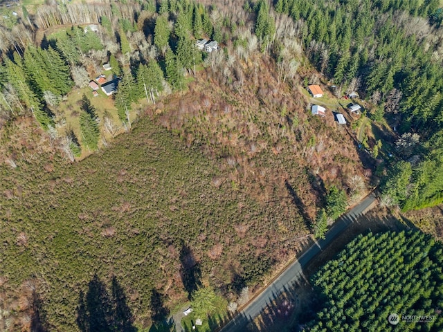 0 Hirons Rd, Vader, WA 98593