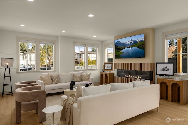 living room featuring light hardwood / wood-style flooring