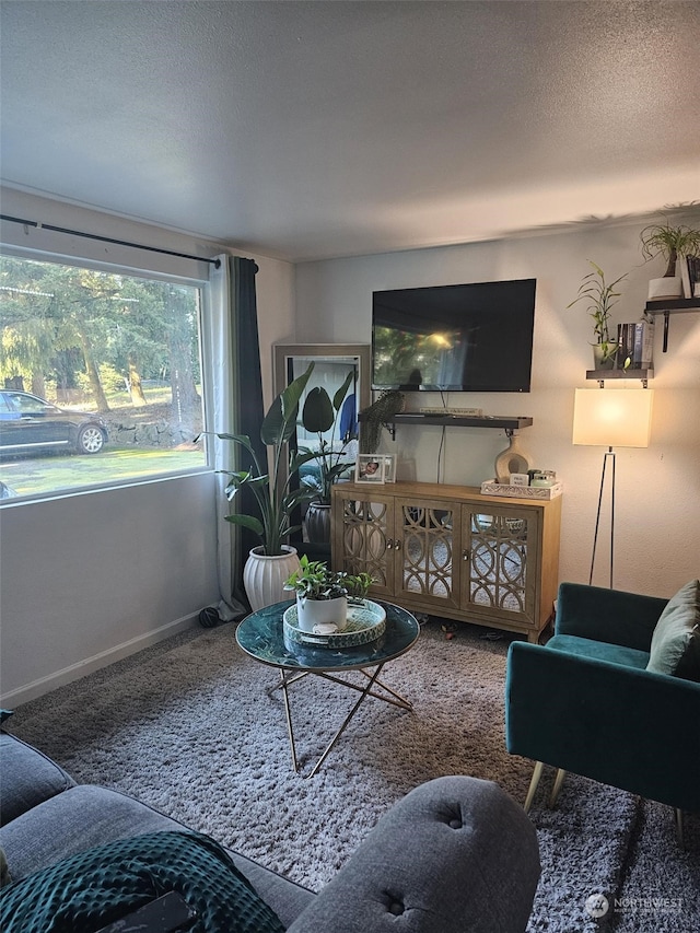 living room with a textured ceiling