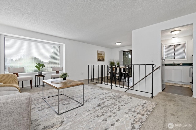 living room with carpet and a textured ceiling