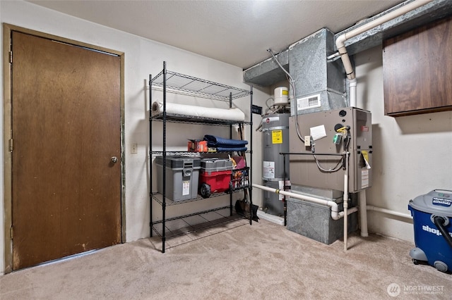 interior space featuring water heater and light colored carpet