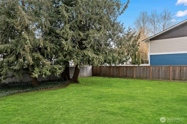 view of yard featuring a fenced backyard