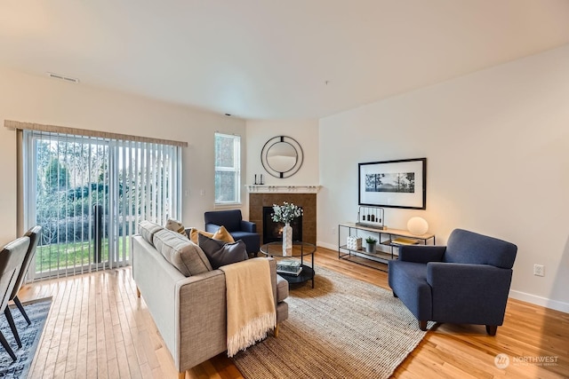 living room featuring wood-type flooring and a fireplace