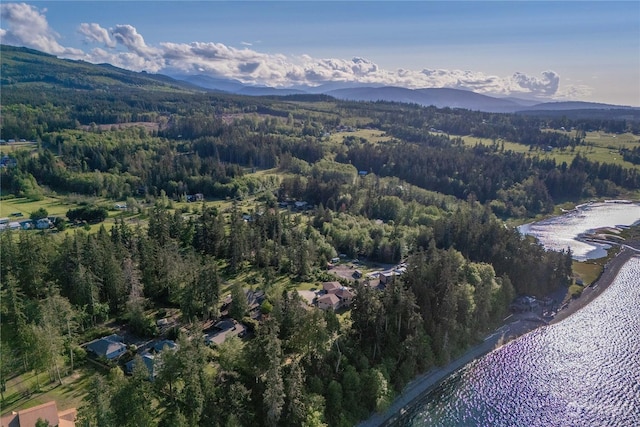 drone / aerial view featuring a mountain view