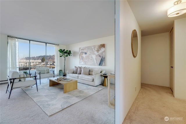 carpeted living room with a wall of windows