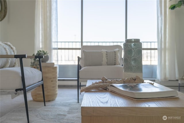 bedroom with multiple windows, a baseboard radiator, and carpet