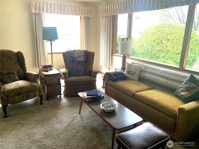 view of carpeted living area