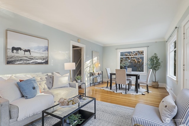 living room featuring light hardwood / wood-style floors