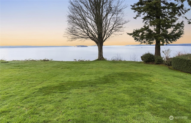 yard at dusk with a water view