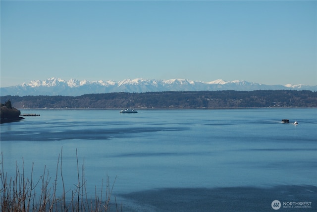 water view with a mountain view