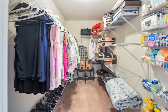 spacious closet with carpet