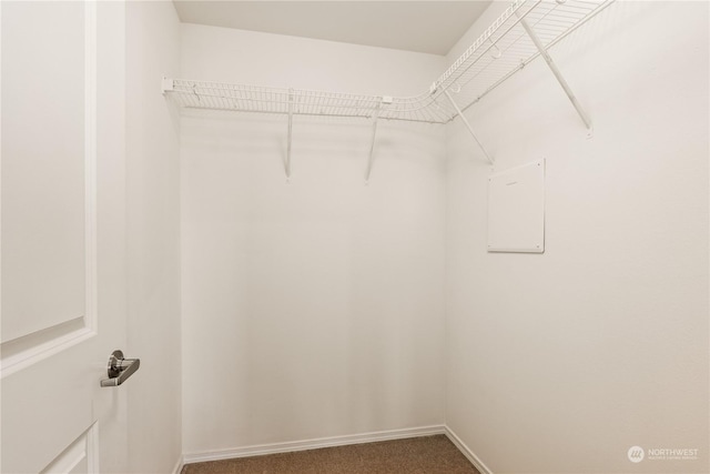 walk in closet featuring carpet floors