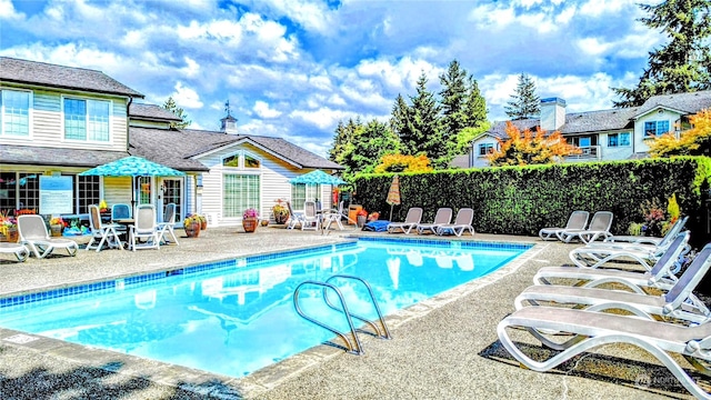 view of pool featuring a patio