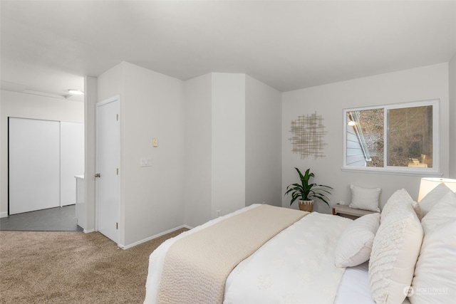 bedroom with carpet floors