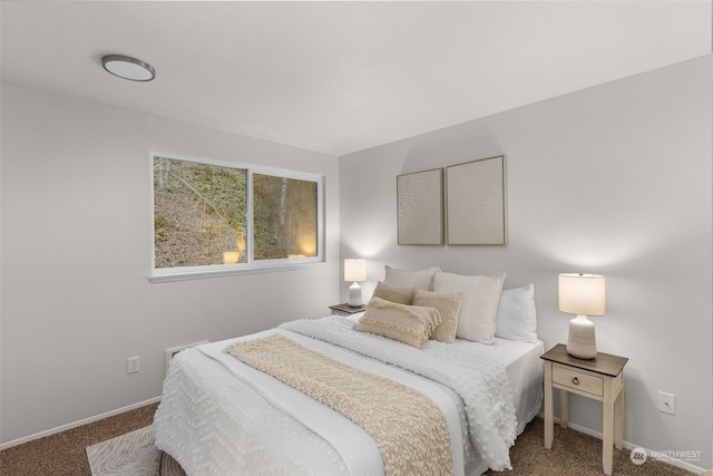 bedroom with carpet floors