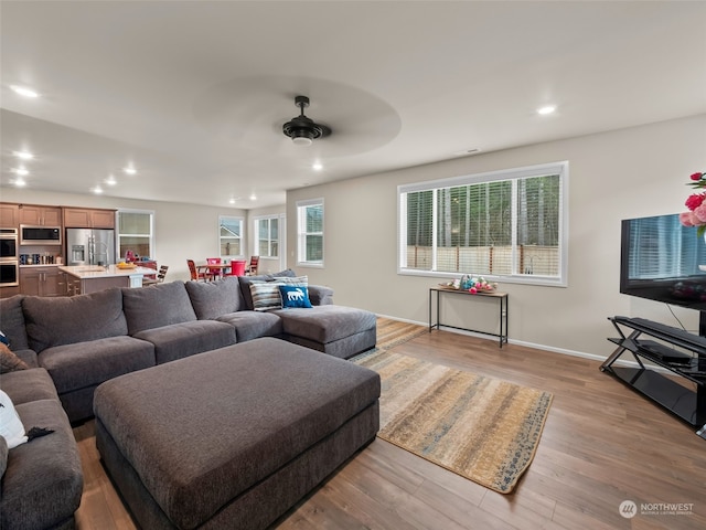 living room with ceiling fan and light hardwood / wood-style flooring