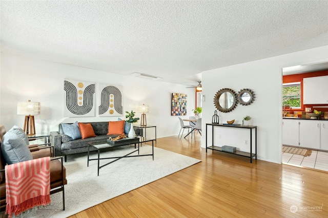 living room featuring ceiling fan, sink, light hardwood / wood-style floors, and a textured ceiling