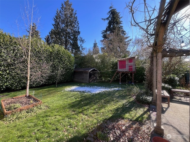 view of yard with a storage shed