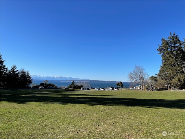 view of property's community featuring a yard and a mountain view