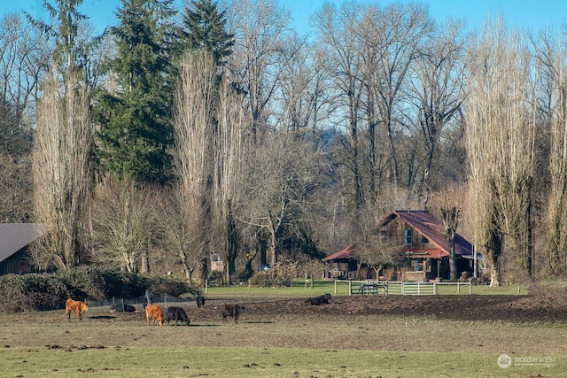 view of yard with a rural view