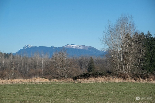 view of mountain feature