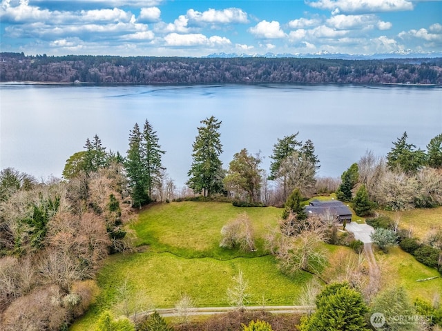 drone / aerial view with a water view and a wooded view