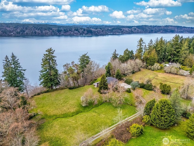 drone / aerial view featuring a forest view and a water view