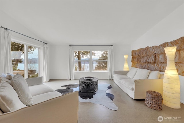 living room featuring vaulted ceiling