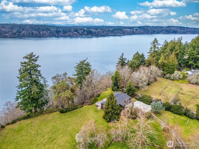 drone / aerial view featuring a water view and a forest view