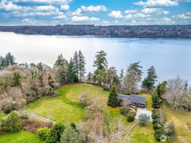 drone / aerial view featuring a water view and a view of trees