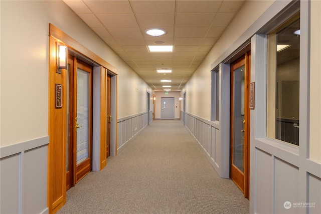 hallway with a paneled ceiling and light colored carpet