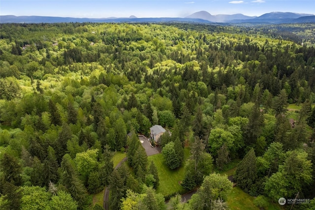 birds eye view of property featuring a mountain view