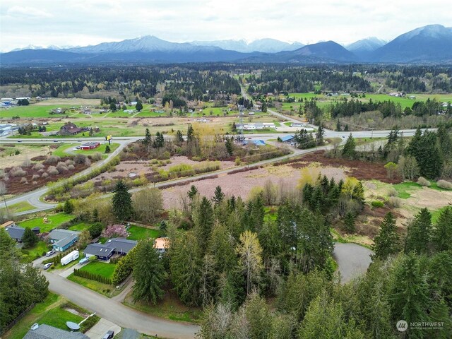 9999 Cedar Glen Ln, Port Angeles, WA 98362 - photo 5