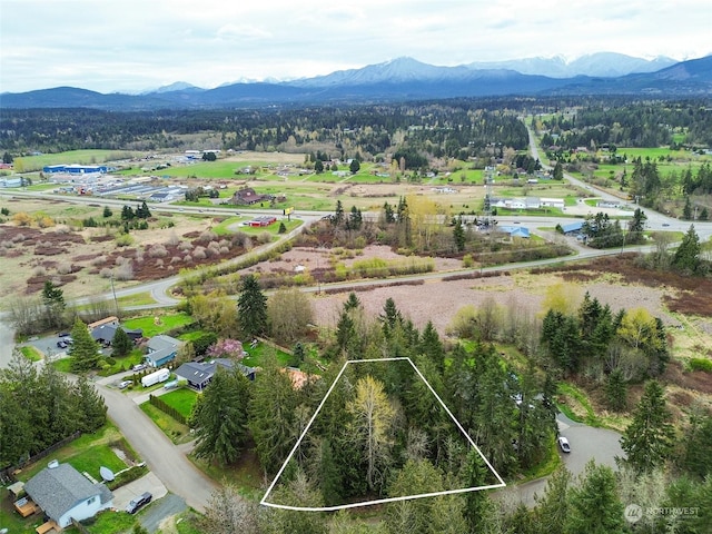 9999 Cedar Glen Ln, Port Angeles, WA 98362 - photo 6