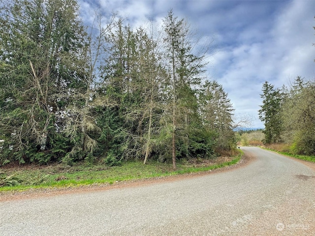9999 Cedar Glen Ln, Port Angeles, WA 98362 - photo 14
