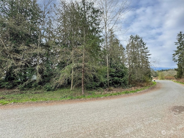 9999 Cedar Glen Ln, Port Angeles, WA 98362 - photo 15