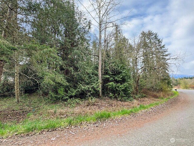 9999 Cedar Glen Ln, Port Angeles, WA 98362 - photo 17