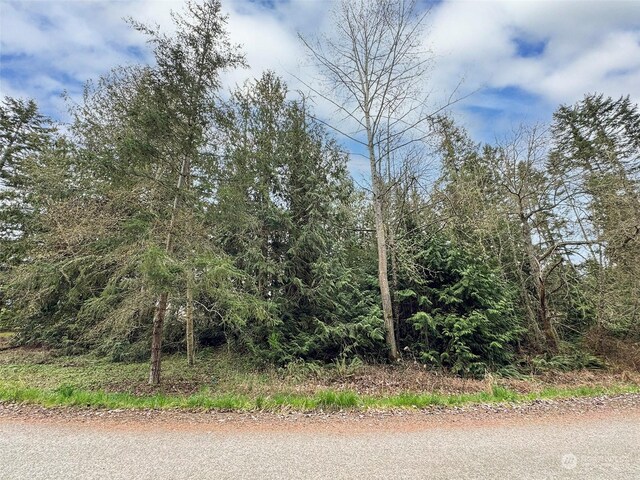 9999 Cedar Glen Ln, Port Angeles, WA 98362 - photo 18
