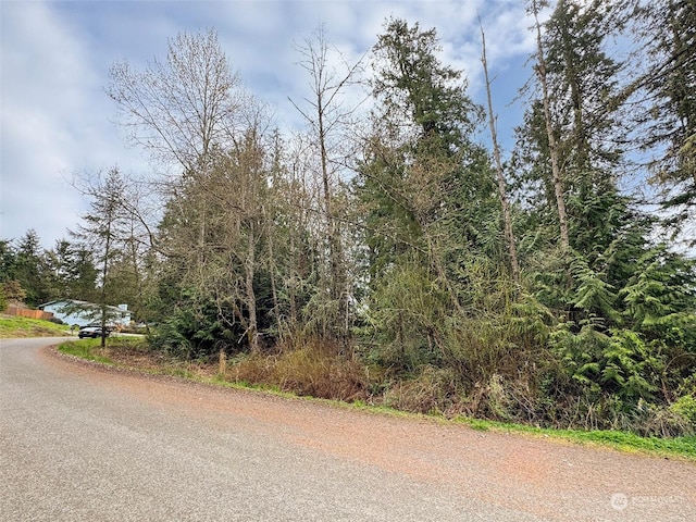 9999 Cedar Glen Ln, Port Angeles, WA 98362 - photo 20