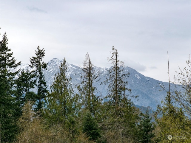 9999 Cedar Glen Ln, Port Angeles, WA 98362 - photo 21