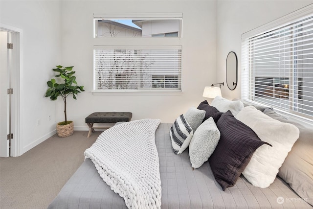 carpeted bedroom with multiple windows