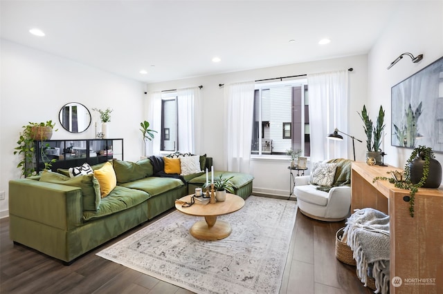 living room with dark wood-type flooring