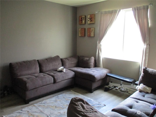 living room featuring light wood-type flooring