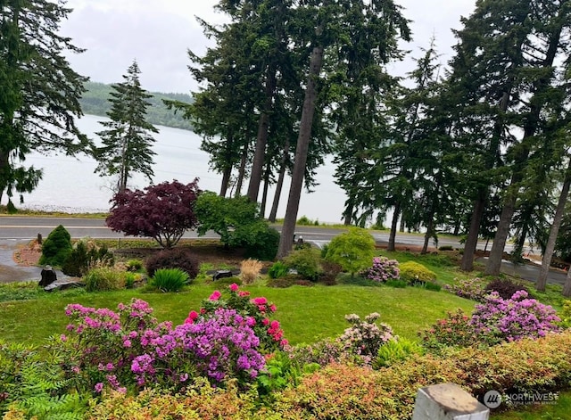 view of yard with a water view