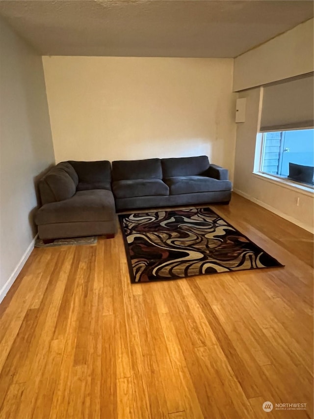 living room with light hardwood / wood-style flooring