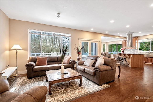 living room with french doors, dark hardwood / wood-style floors, and sink