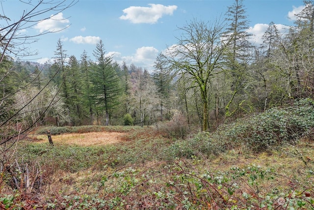 205 NE 353rd Ave, Washougal WA, 98671 land for sale