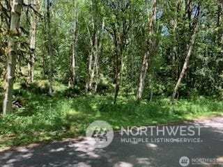 6145 Young Rd NW, Olympia WA, 98502 land for sale