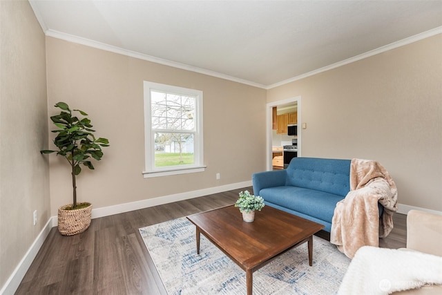 living area featuring dark wood-type flooring, baseboards, and ornamental molding