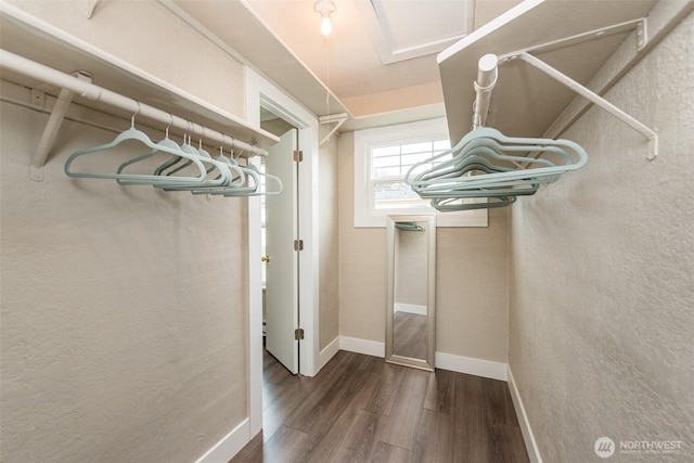 spacious closet featuring dark wood-type flooring